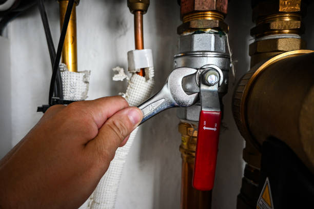 Best Affordable Plumber Near Me  in Lake Wynonah, PA